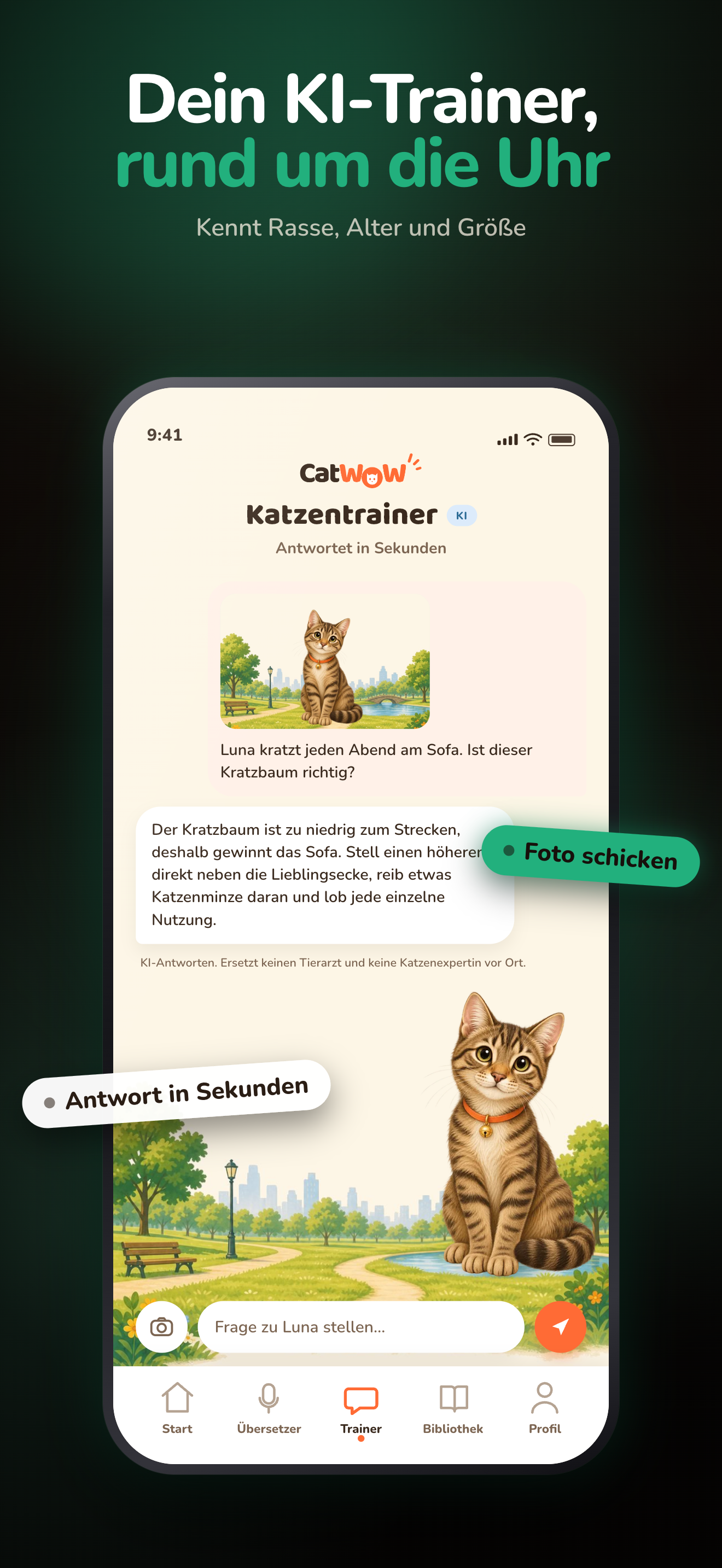 KI-Katzenberater mit Foto und Antwort im Chat