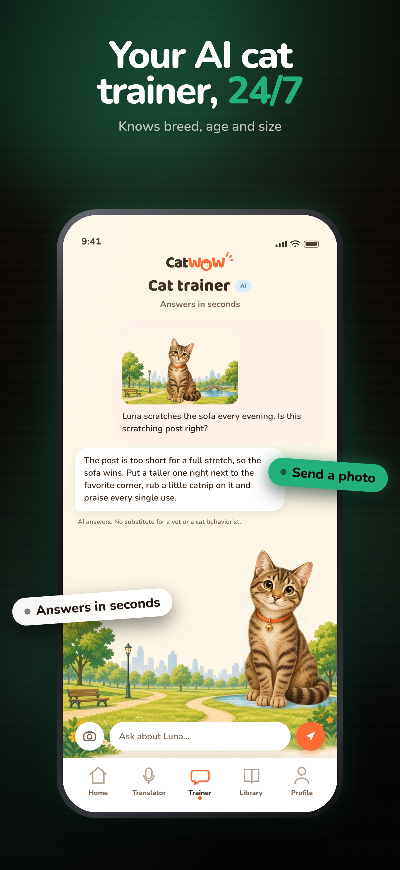 AI cat advisor showing a photo and a chat reply
